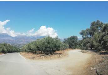 Kreta, Kousses, Grundstück ca. 4.106 m² zu verkaufen