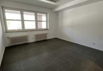492362-Vorschaubild2