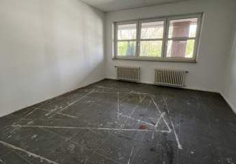 492362-Vorschaubild4