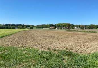 Schöne landwirtschaftliche Nutzfläche