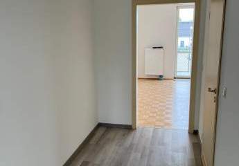 424093-Vorschaubild2