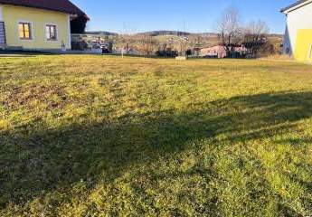 431449-Vorschaubild2