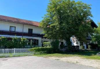 432877-Vorschaubild2