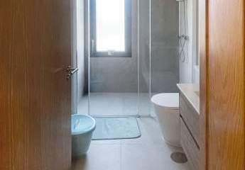 452963-Vorschaubild3