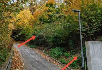 454128-Vorschaubild3