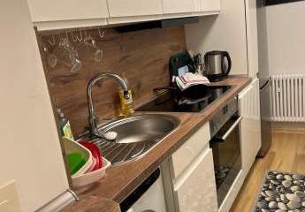 444940-Vorschaubild3