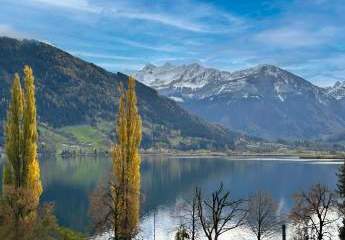 Generalsanierte 4-Zimmer-Wohnung mit unvergleichlichem Blick über den Zeller See