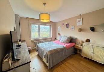 456498-Vorschaubild3