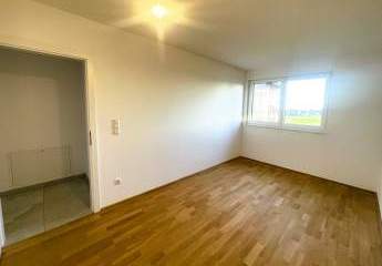 456747-Vorschaubild4