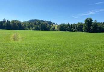 Schöne Landwirtschaftliche Nutzfläche