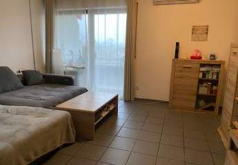 462471-Vorschaubild2