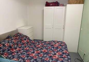 462471-Vorschaubild4