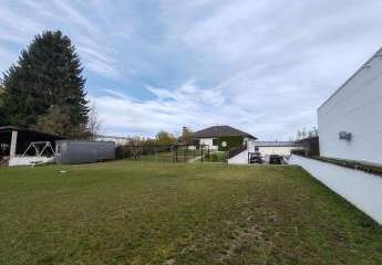 462645-Vorschaubild3