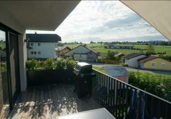 450213-Vorschaubild4