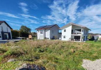 444650-Vorschaubild3