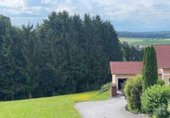 433074-Vorschaubild3