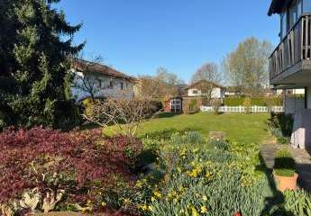 477638-Vorschaubild2