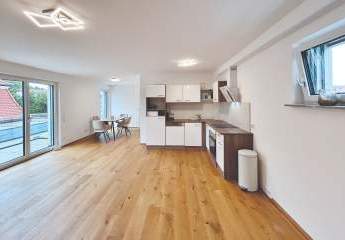 477799-Vorschaubild2