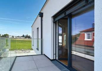 477799-Vorschaubild3