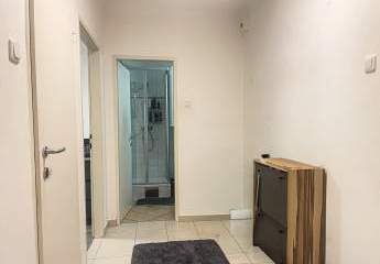 478151-Vorschaubild3