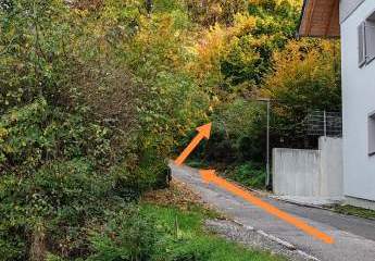 478441-Vorschaubild4