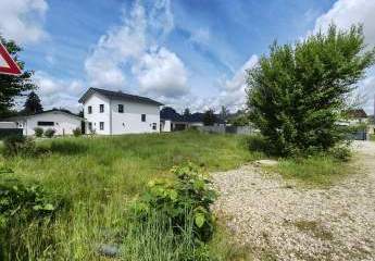 478442-Vorschaubild2