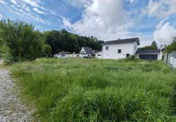 478442-Vorschaubild3