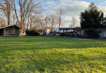 478443-Vorschaubild3