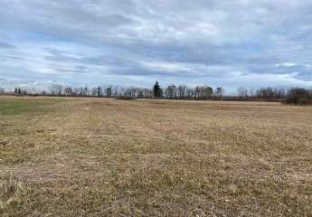 478510-Vorschaubild2