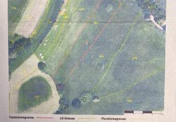 478510-Vorschaubild4