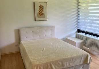 478521-Vorschaubild3