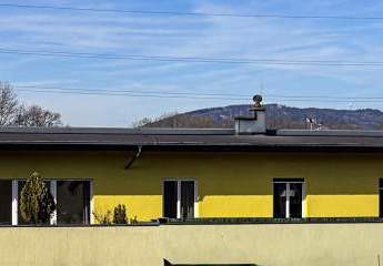 475513-Vorschaubild3