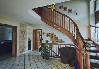 478575-Vorschaubild2