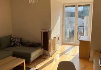 479775-Vorschaubild4