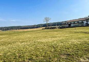 LÄNDLICHER WOHNGENUSS-Grundstück ohne Bauzwang in Schalchen