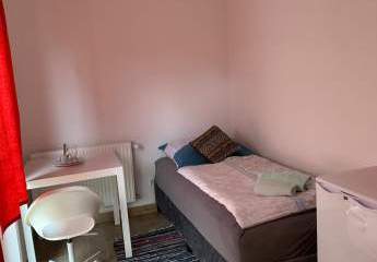 486031-Vorschaubild3