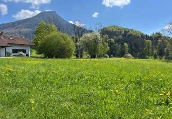 491760-Vorschaubild3