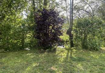 492488-Vorschaubild2