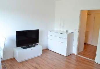 493461-Vorschaubild2