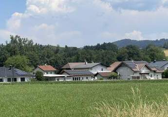 495863-Vorschaubild3