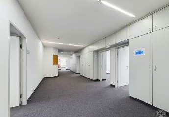 424092-Vorschaubild2