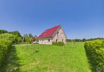 452942-Vorschaubild2