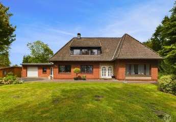 455910-Vorschaubild2