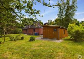 455910-Vorschaubild4