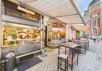 456482-Vorschaubild3