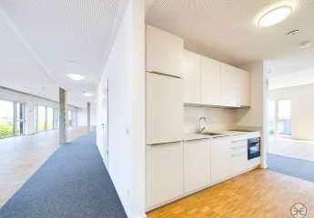 294828-Vorschaubild2