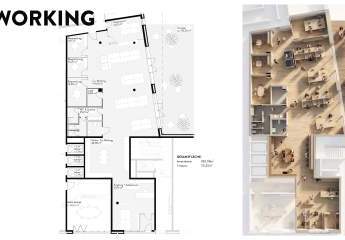 449448-Vorschaubild3