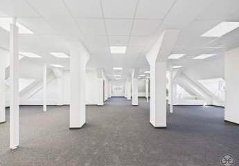 414809-Vorschaubild2