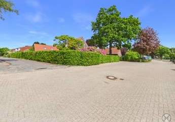 490530-Vorschaubild3
