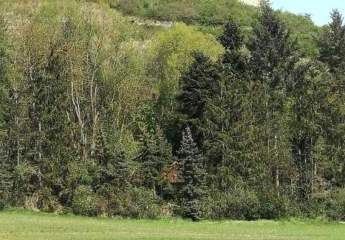 Ferienhaus, idyllisch gelegen